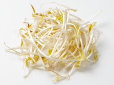 Bean Sprouts