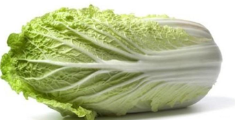 Chinese Cabbage