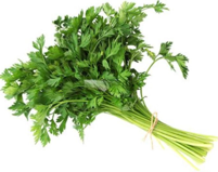 Coriander