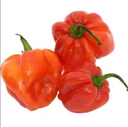 Habanero Red