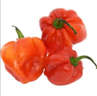 Habanero Red