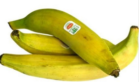 Plantain Yellow